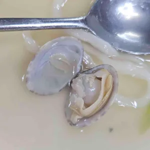 찬미네 해물칼국수 사진