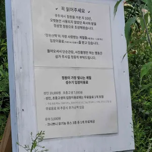 정원산책 리뷰 사진