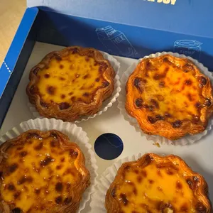 픽베이크 사진
