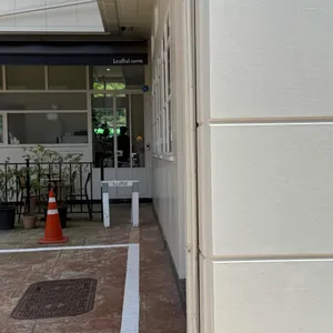 Leafful 리뷰 사진