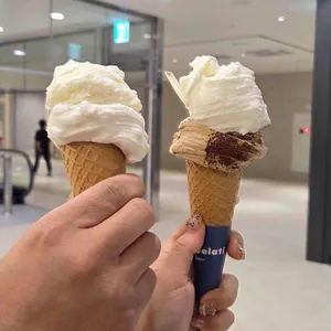 젤라띠젤라띠 사진