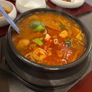 부산갈매기 사진
