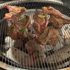 부산갈매기 사진 2
