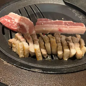 부산갈매기 사진