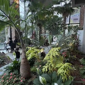 라라보타닉 사진 2