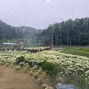 프레이밍 리뷰 사진