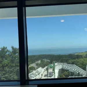 그림나무 리뷰 사진