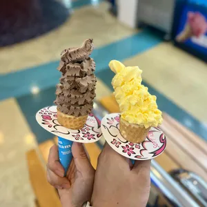 디핀다트 리뷰 사진