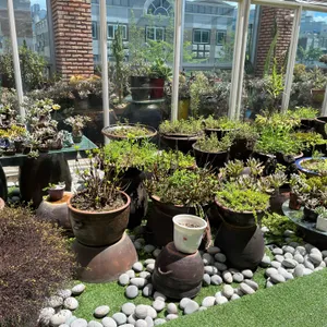 카페 괜찮다 리뷰 사진