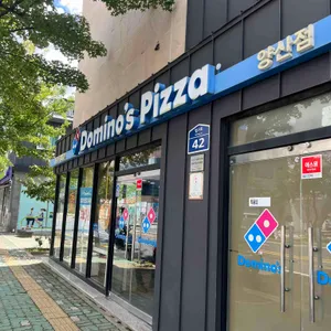 도미노피자 리뷰 사진