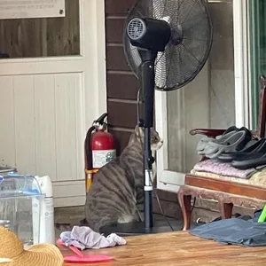 묵사발 리뷰 사진