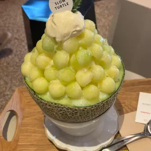슬로우터틀 사진 1