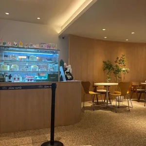 슬로우터틀 리뷰 사진