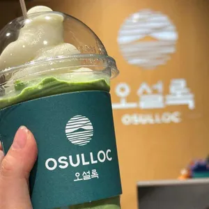 오설록 사진 1