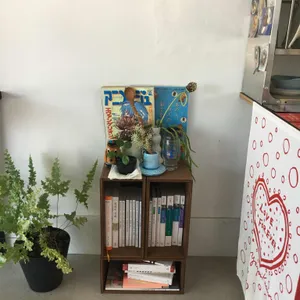 아라레 사진