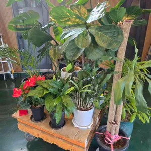 롤링브루잉컴퍼니 리뷰 사진