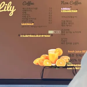 릴리 사진