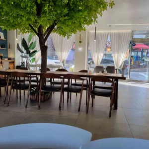 비다벨로 리뷰 사진