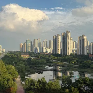 테라송 리뷰 사진
