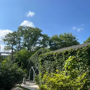 헤세의정원 리뷰 사진