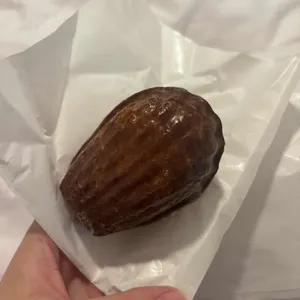 몽심 사진 2