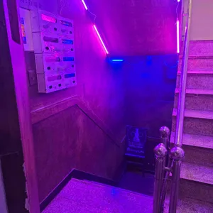 도리안그레이 리뷰 사진