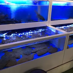 삼부자활어포차 리뷰 사진