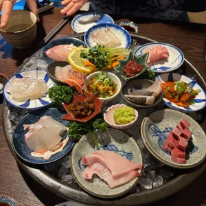 남해물고기 사진