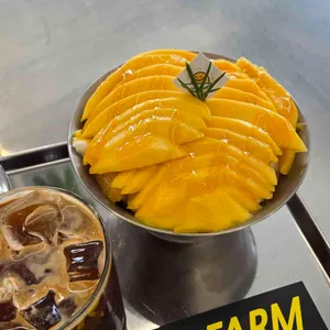 옐로우팜 대표 사진