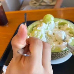 벤자마스 사진 2