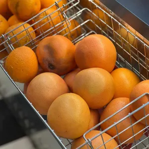 아메리칸트레일러 리뷰 사진