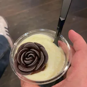 장미그리다 사진