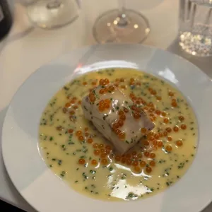 도핀느 대표 사진