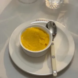 도핀느 대표 사진