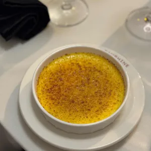 도핀느 사진