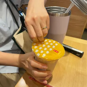 공차 사진