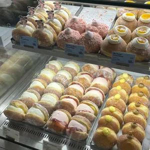 노티드 사진 1