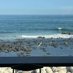 오브커피살롱 리뷰 사진