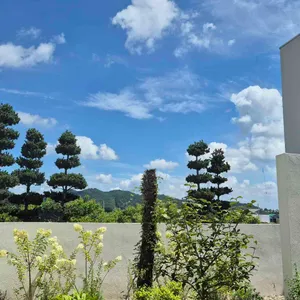 춘소커피 리뷰 사진