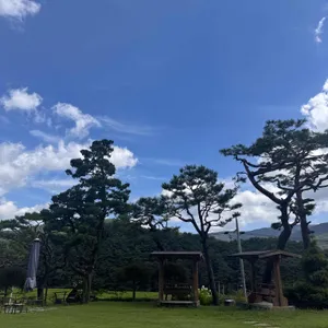 카페운암 리뷰 사진