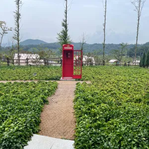 대율담 리뷰 사진