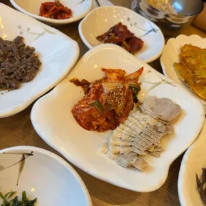벽오동 사진 2