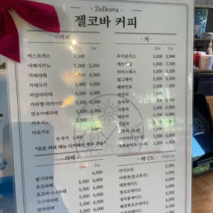 젤코바 리뷰 사진