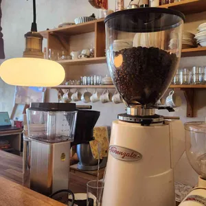 세이지핀치 대표 사진