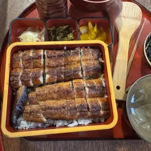 성수장어 사진