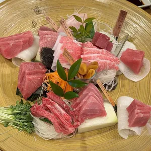 본참치 사진