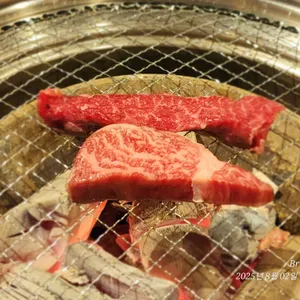 십년한우실비집 사진