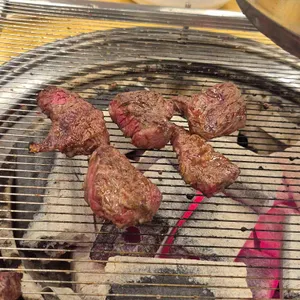 진원소우 대표 사진