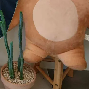 초당순 리뷰 사진
