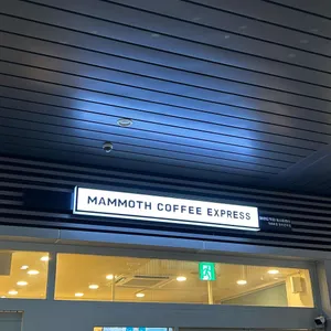 매머드익스프레스 리뷰 사진